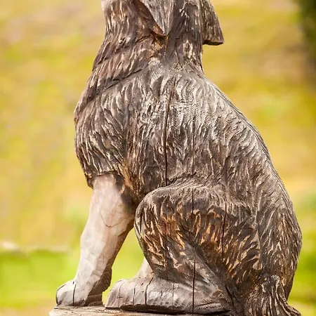 Apart Otel Ski Cierny Balog Čierny Blh