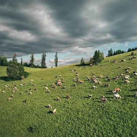 Ski Cierny Balog Apart Otel